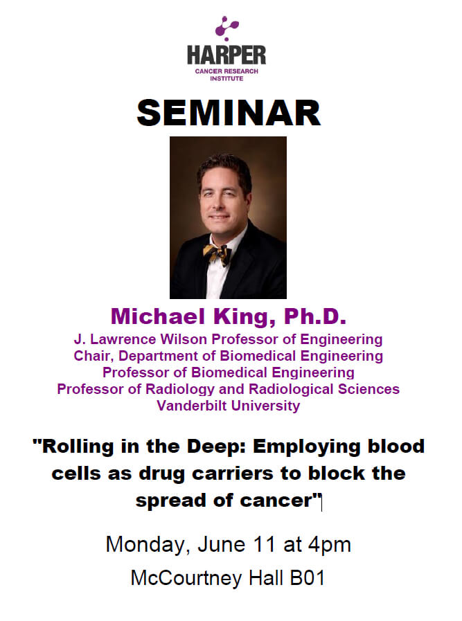 Michael King Seminar